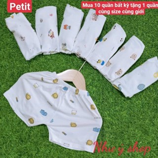 [A140 - Mềm, Mát, Vải Petit] Combo 5 Quần Đùi Thun Lạnh Petit Nền Trắng Họa Tiết In Kín Chất Vải Petit