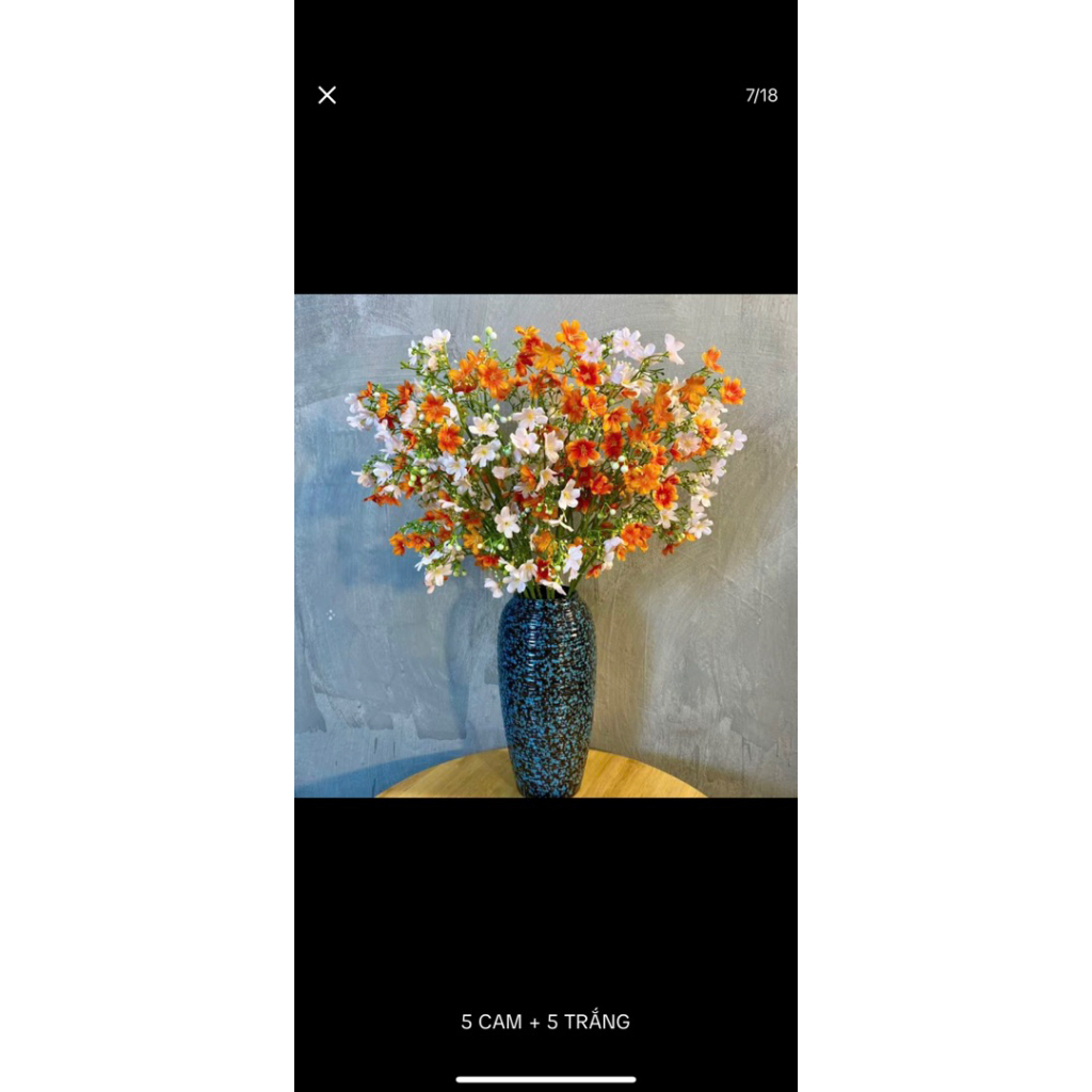 Nhất chi mai_hoa mai nhís mở