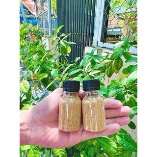 Combo 2 Hủ / Chai sốt chấm bánh tráng nhà nấu chuẩn vị ( SỐT MUỐI BÉO / SỆT / TẮC / PHÔ MAI /ỚT RIM / DẦU TÒI / SA TẾ..)