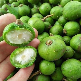 Sấu tươi chà vỏ sấu đông lạnh xuất khẩu (giao hỏa tốc HCM)