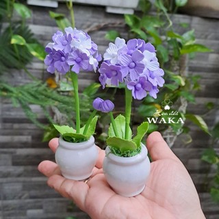 Hoa Đất Sét Mini- Tú Cầu 12cm