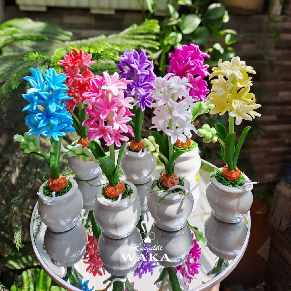 Hoa Đất Sét Mini-Dạ Lan Hương-Tiên Ông 12cm