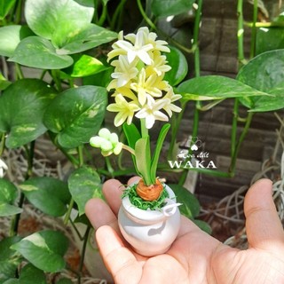 Hoa Đất Sét Mini-Dạ Lan Hương-Tiên Ông 12cm