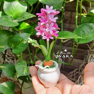 Hoa Đất Sét Mini-Dạ Lan Hương-Tiên Ông 12cm