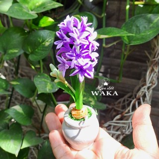Hoa Đất Sét Mini-Dạ Lan Hương-Tiên Ông 12cm