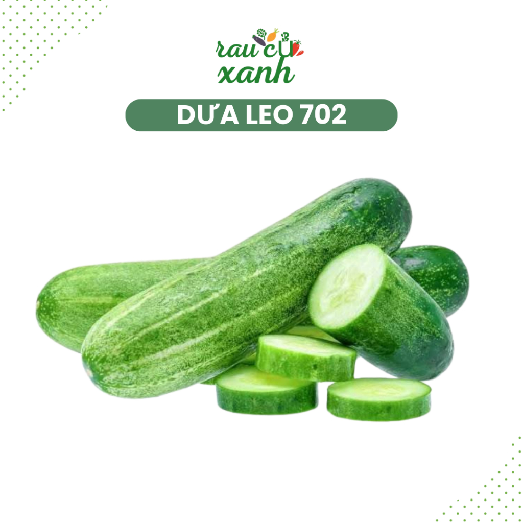 [ 500gr/1kg ] Dưa leo - Loại 702 - [ Ruột đặc giòn ]