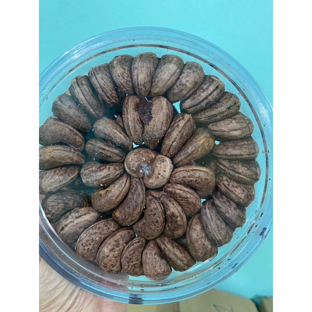 HẠT ĐIỀU RANG MUỐI XẾP HOA