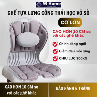  Ghế Bệt Tựa Lưng Vỏ Sò Có Gối Tựa Giảm Đau Mỏi Lưng Chỉnh Dáng Ngồi Đúng Chống Cong Vẹo Cột Sống Tựa Lưng Ghế Có Đệm 
