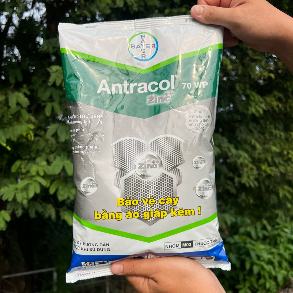 Antracol 70wp Bayer gói 1kg bảo vệ cây bằng áo giáp kẽm.