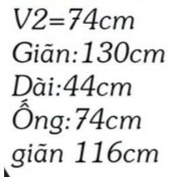 quần short bigsize unisex