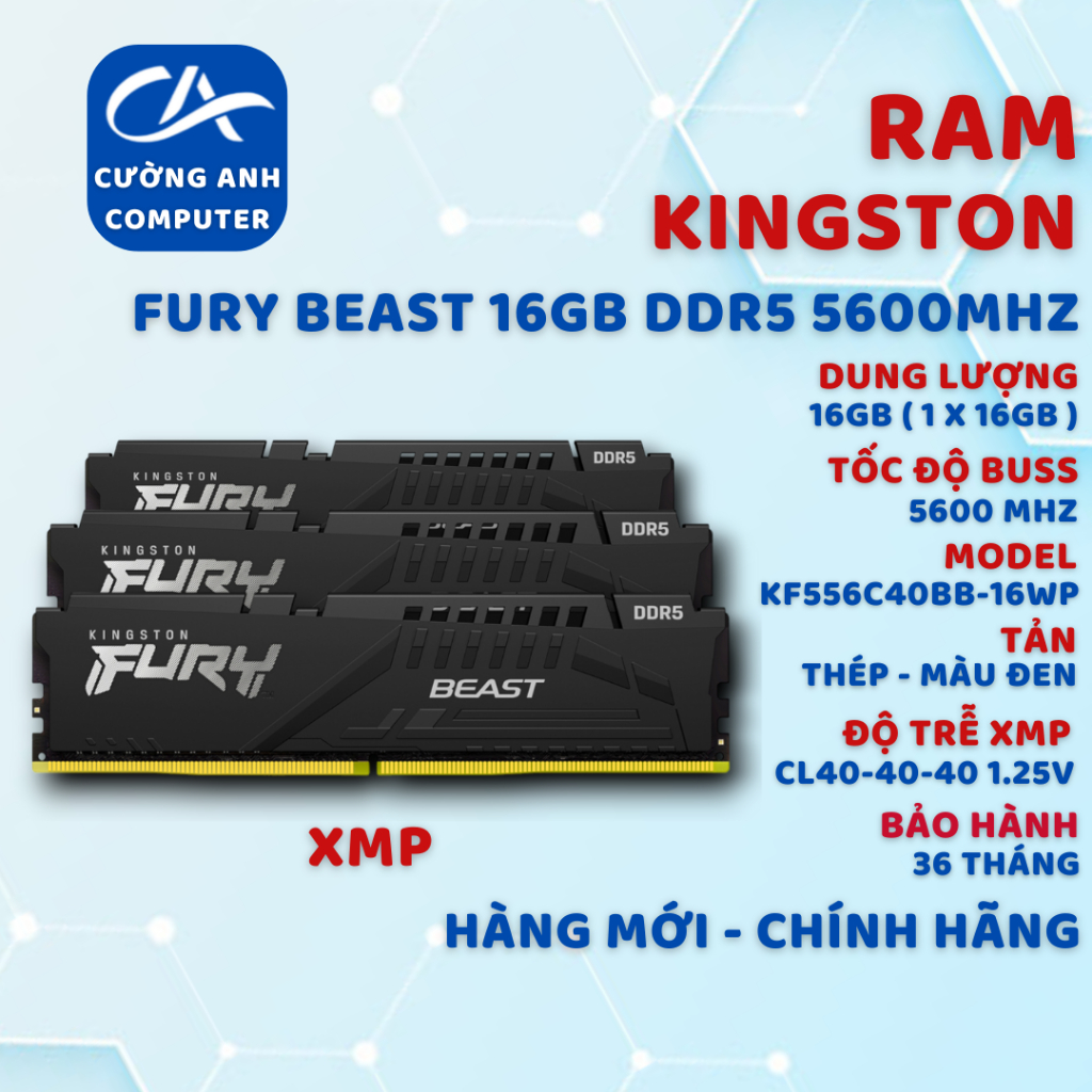 Ram Kingston Fury Beast 16GB (1x16GB) DDR5 5600MHz. Hàng mới chính hãng