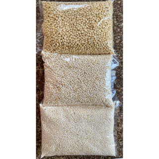 [Siêu rẻ] 2kg bắp nếp trắng Phơi khô/ NGÔ BẮP TRẮNG (NẾP) DÙNG NẤU XÔI HAY LÀM BẮP HẦM