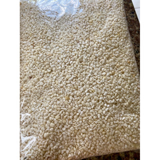 [Siêu rẻ] 2kg bắp nếp trắng Phơi khô/ NGÔ BẮP TRẮNG (NẾP) DÙNG NẤU XÔI HAY LÀM BẮP HẦM