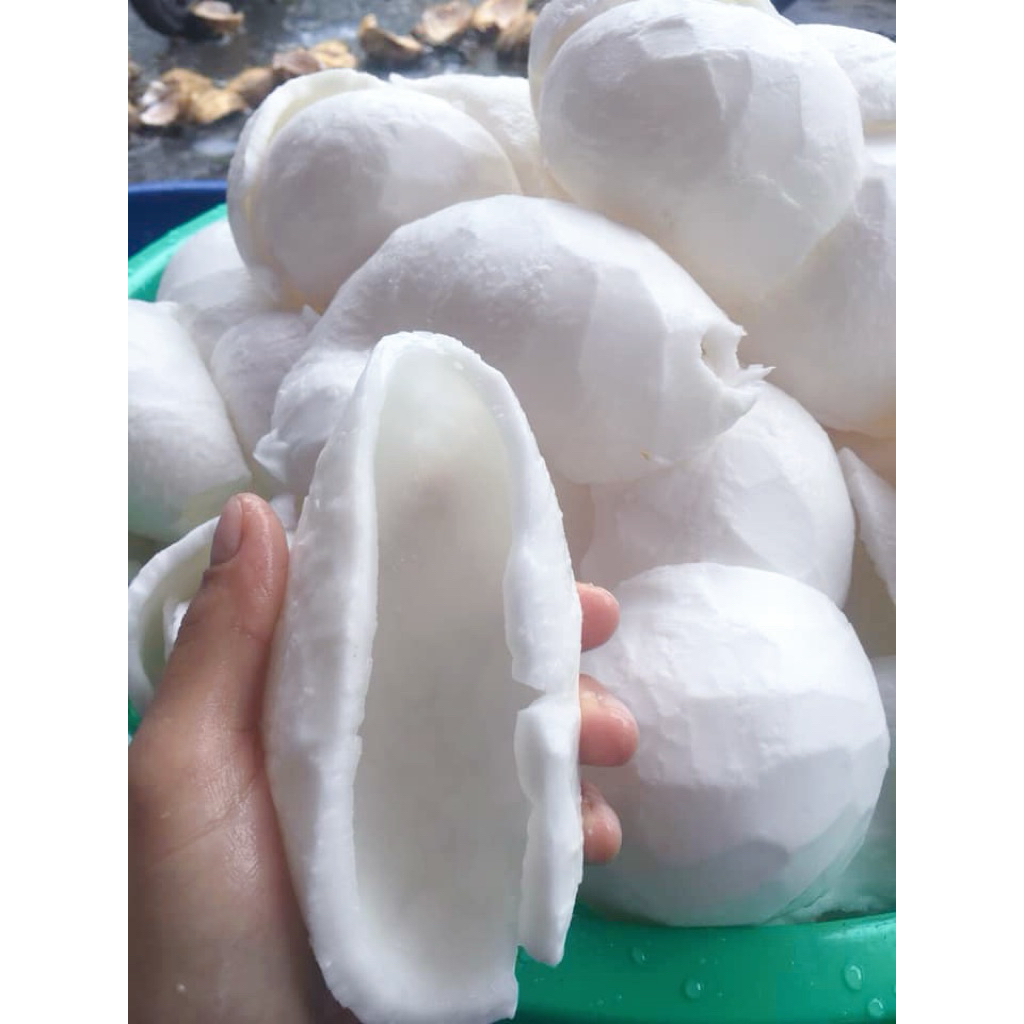 5kg Cơm dừa/ Cùi dừa tươi mới. Làm mứt dừa non/ Xay sinh tố [Giao HCM]