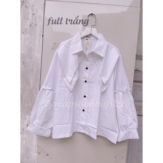 sơ mi cổ đôi ulzzang bigsize (2 màu trắng đen )