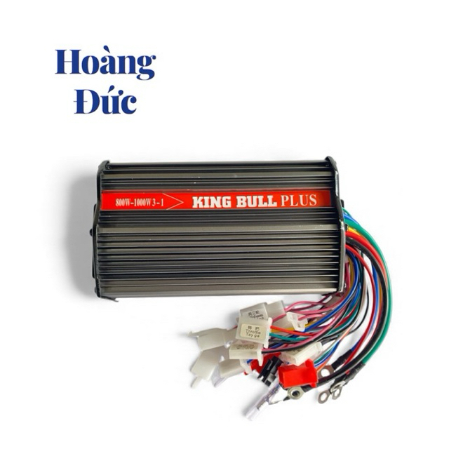 Ic 800w-1000w KING BULL đi êm, tăng tốc nhanh 48/60v