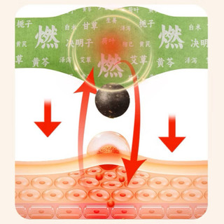 5 HỘP MIẾNG DÁN NGẢI CỨU ĐỐT MỠ BUNG