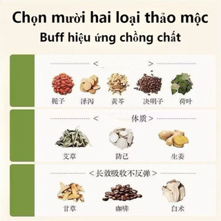 5 HỘP MIẾNG DÁN NGẢI CỨU ĐỐT MỠ BUNG