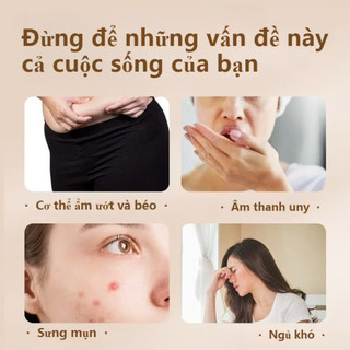 5 HỘP MIẾNG DÁN NGẢI CỨU ĐỐT MỠ BUNG