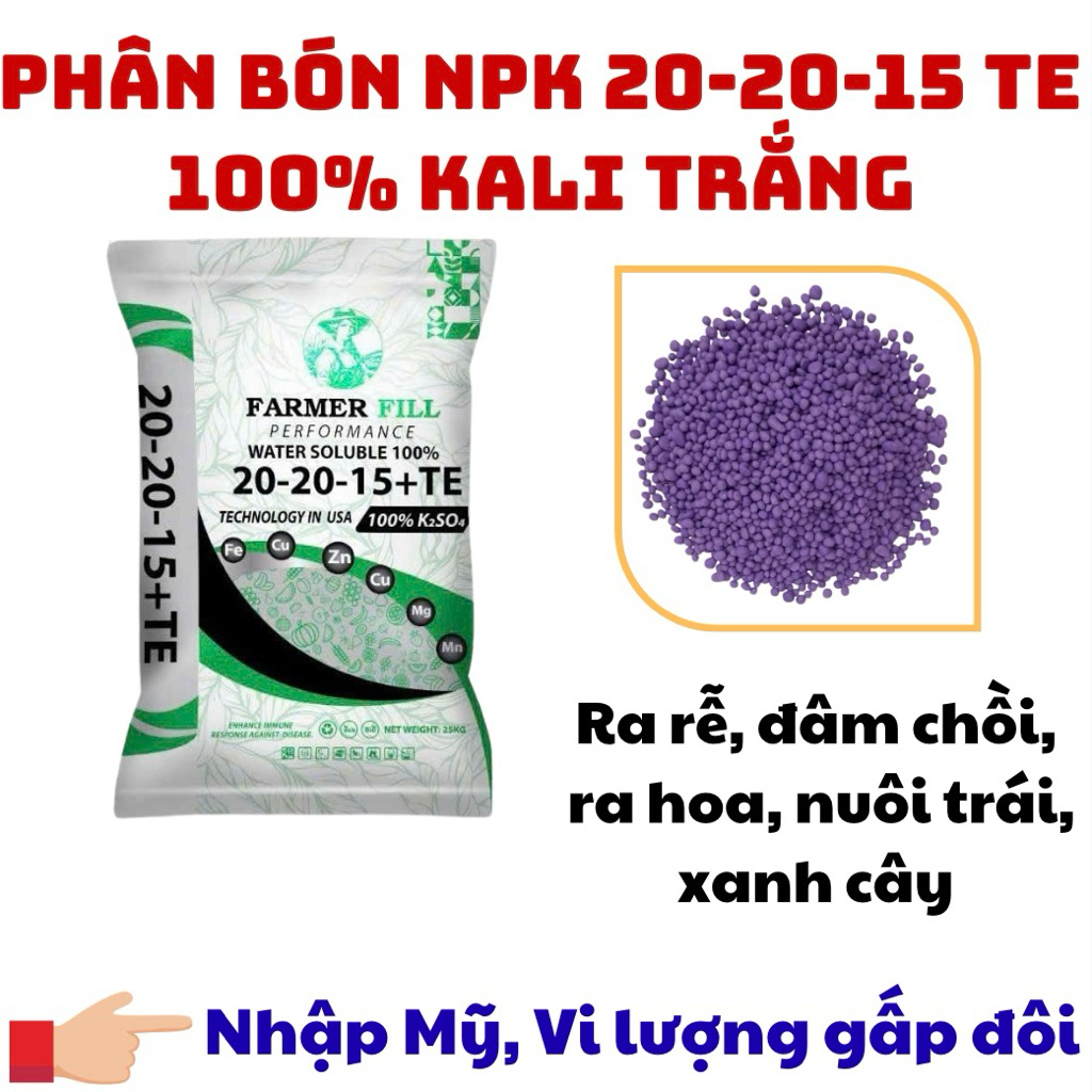 Phân Bón NPK 20-20-15 TE Hạt Tím Bao 25kg Chuyên Rau Màu, Hoa Cây Cảnh Giúp Cây Đâm Chồi, Mập Xanh D