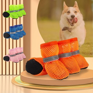 Giày lưới Bichon Frise, Corgi và chó nhỏ