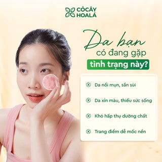  11.11 Mặt Nạ Tẩy Tế Bào Chết Đậu Đỏ Cỏ Cây Hoa Lá 150g Tặng Kèm Túi Vải 