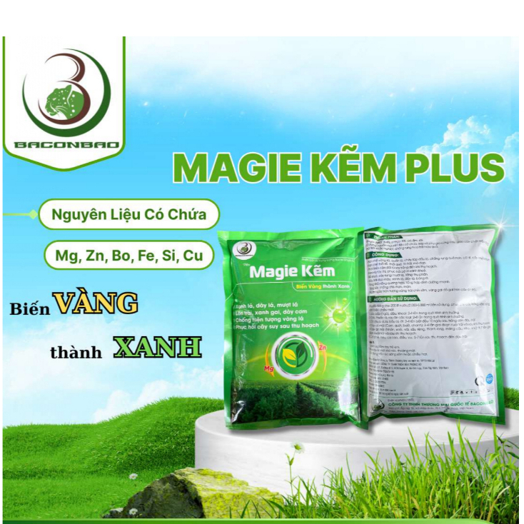 MAGIE KẼM PLUS Gói 1KG BIẾN VÀNG THÀNH XANH