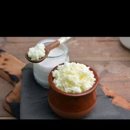 Nấm sữa Kefir( con nấm tạo ra sữa chua)