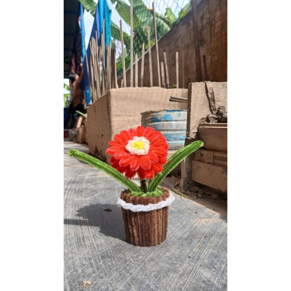 Chậu hoa đồng tiền đỏ làm bằng kẽm nhung - Chậu hoa kẽm nhung mini - Hoa kẽm nhung handmade - Decor 