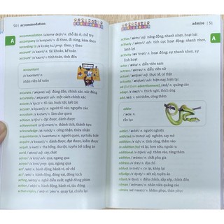 Sách - 6000 từ vựng tiếng Anh thông dụng (bìa mềm, 20 chủ đề phổ biến)