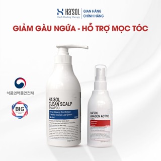  Combo Dầu Gội Chống Gàu Nấm Ngứa Hasol Clean Scalp Shapoo + Xịt Mọc Tóc Hasol Anagen Active Tonic 100ml 