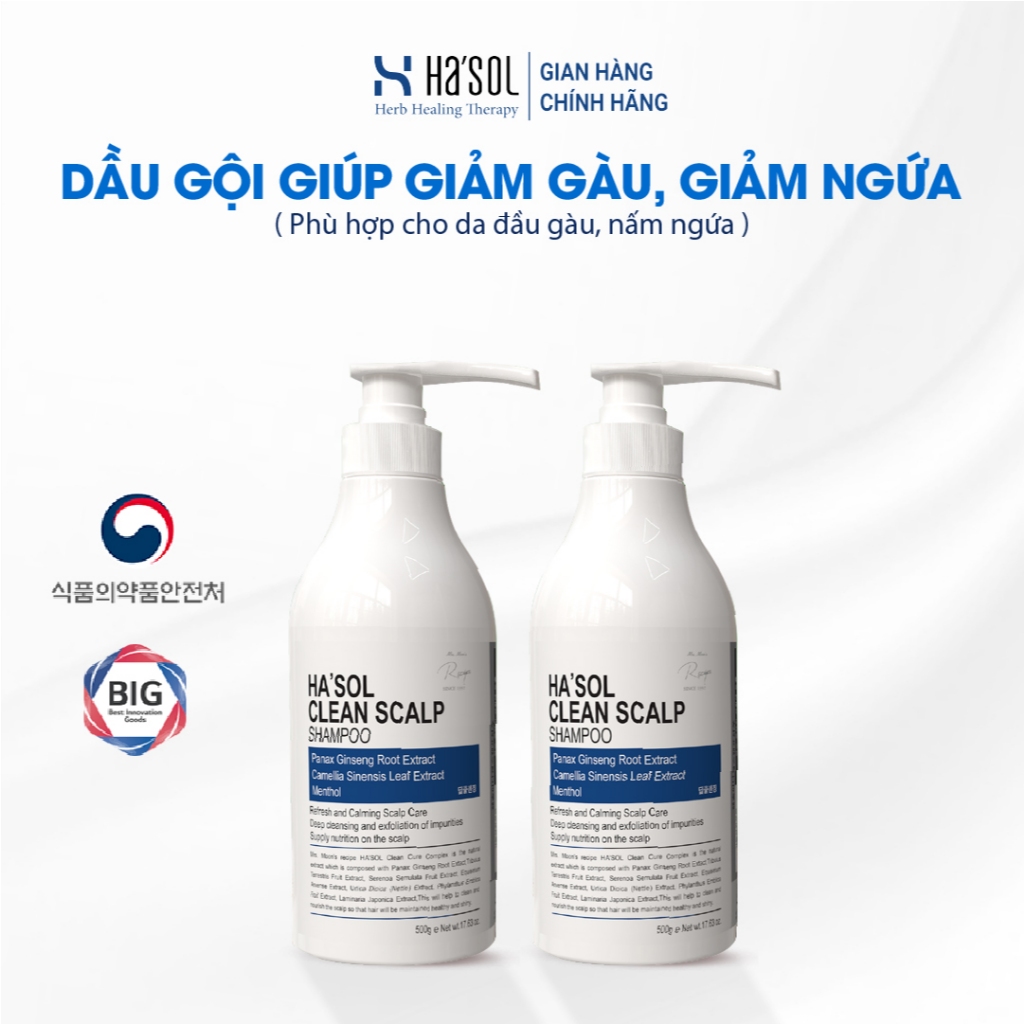 Dầu Gội HASOL Hỗ Trợ Giảm Gàu Nấm Ngứa, Phù Hợp Cho Da Đầu Nhiều Dầu, Tóc Mỏng Và Yếu HA'SOL Clean Scalp Shampoo 500g | BigBuy360 - bigbuy360.vn