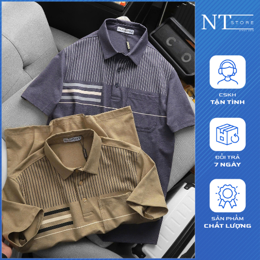 Áo thun polo nam Pack túi Gi thun cotton muối, co giãn 4 chiều - Áo polo nam cao cấp NTstore