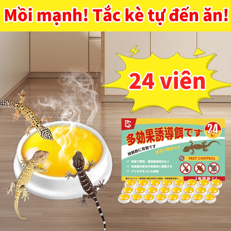 30 năm không có thằn lằn Thuốc diệt thằn lằn bả diệt thằn lằn  An toàn cho người và thú cưng