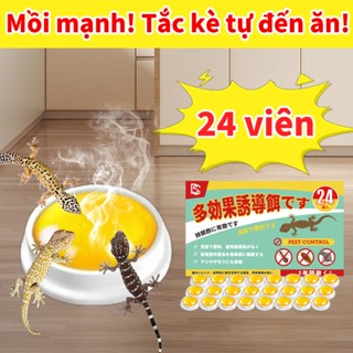 30 năm không có thằn lằn Thuốc diệt thằn lằn bả diệt thằn lằn  An toàn cho người và thú cưng