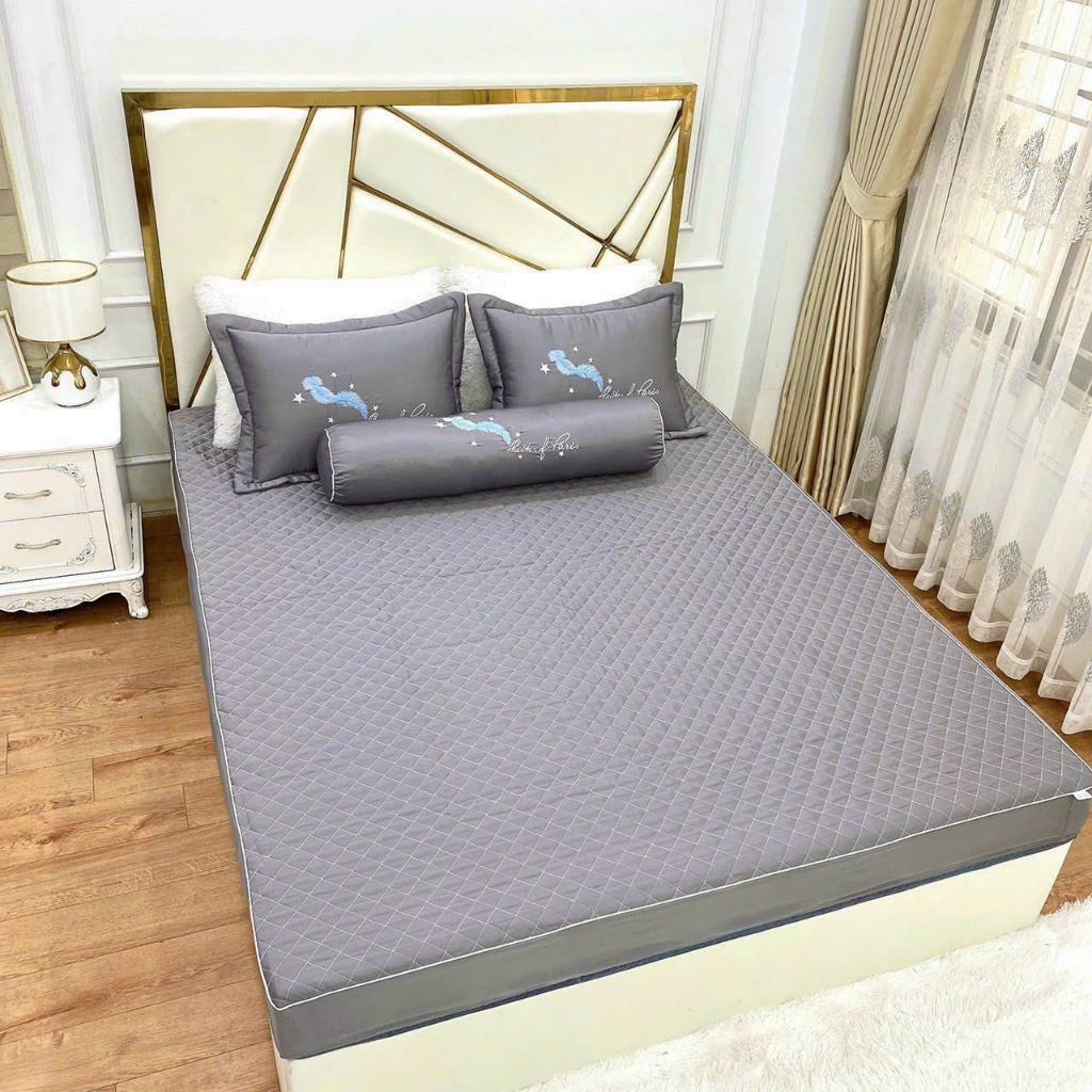 Bộ ga gối chun trần phi lụa mẫu mới , ga giường vỏ gối phi lụa thêu  cao cấp đủ size