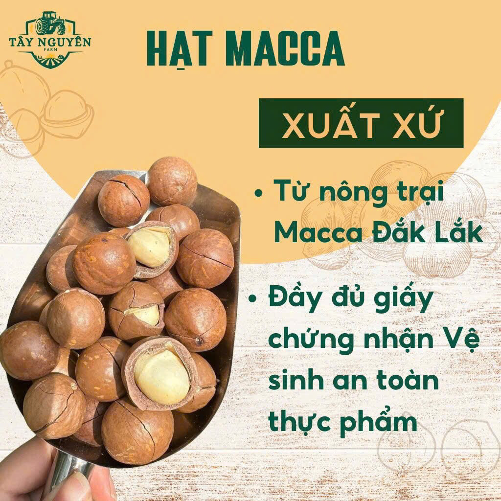 Hạt Macca Tây Nguyên 500g – Hạt Macca Nứt Sẵn Rang Bơ / Rang Muối – Nhân To Giòn Béo – Hộp 500gr