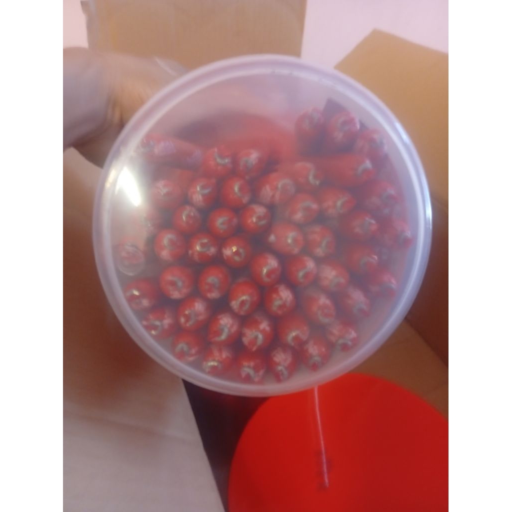 100 CÂY XÚC XÍCH TIỆT TRÙNG ĐÓNG HŨ OH TEEN – LC FOOD(20gr/1 cây