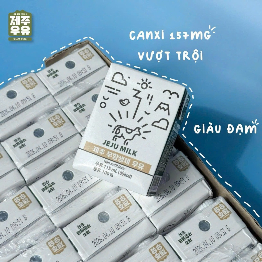 SỮA TƯƠI KHÔNG KHÁNG SINH JEJU MILK HÀN QUỐC CHO BÉ