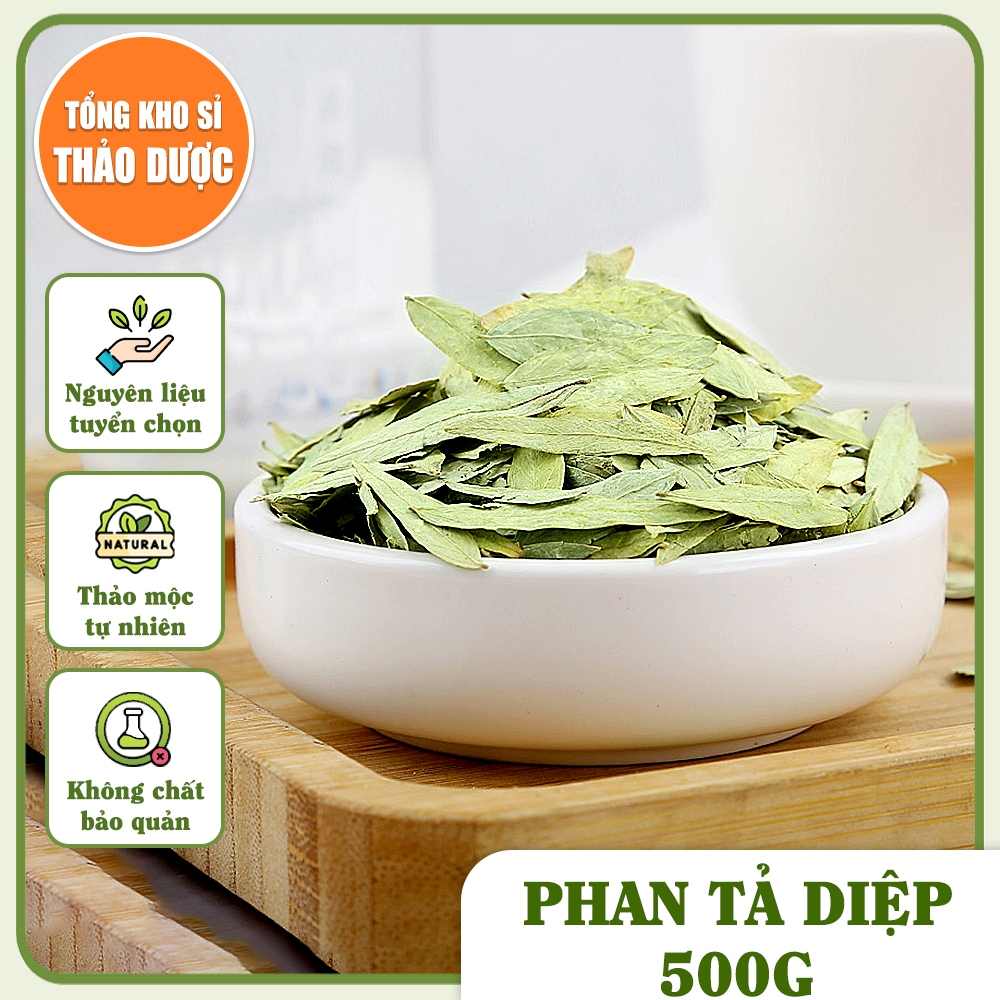 Phan tả diệp 500g, lá phan tả, không vụn, xanh đẹp, không lẫn tạp chất - Tổng Kho Sỉ Thảo Dược