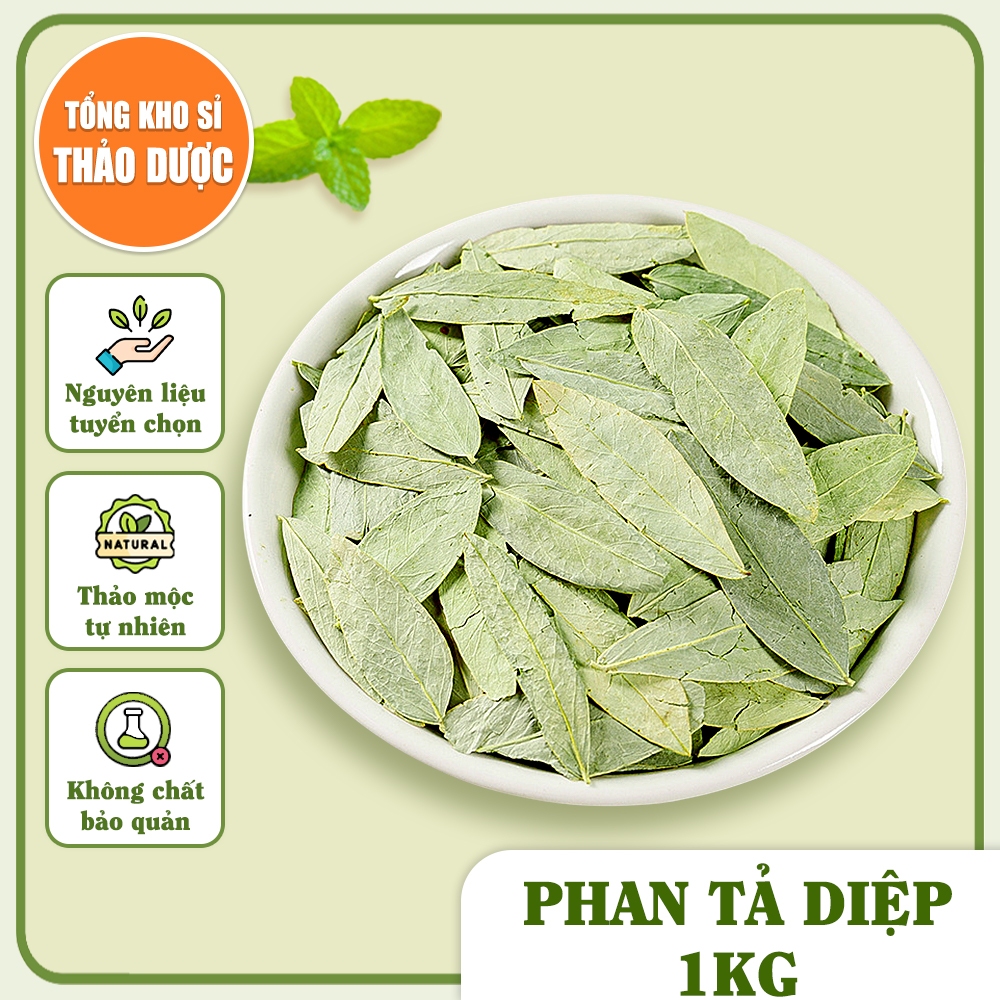 Phan tả diệp 1kg, lá phan tả, không vụn, xanh đẹp, không lẫn tạp chất - Tổng Kho Sỉ Thảo Dược
