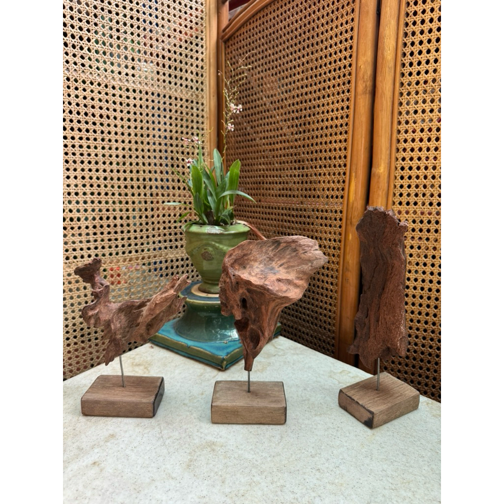 MI07 - Lũa decor, Sa bàn gỗ, Base lũa