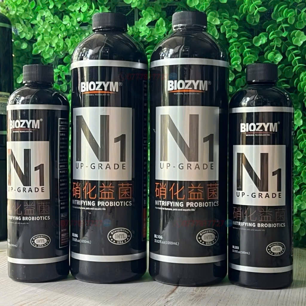 Vi sinh sống biozym N1 500ml-1000ml - làm trong nước , khử mùi tanh cho bể cá - thuỷ sinh