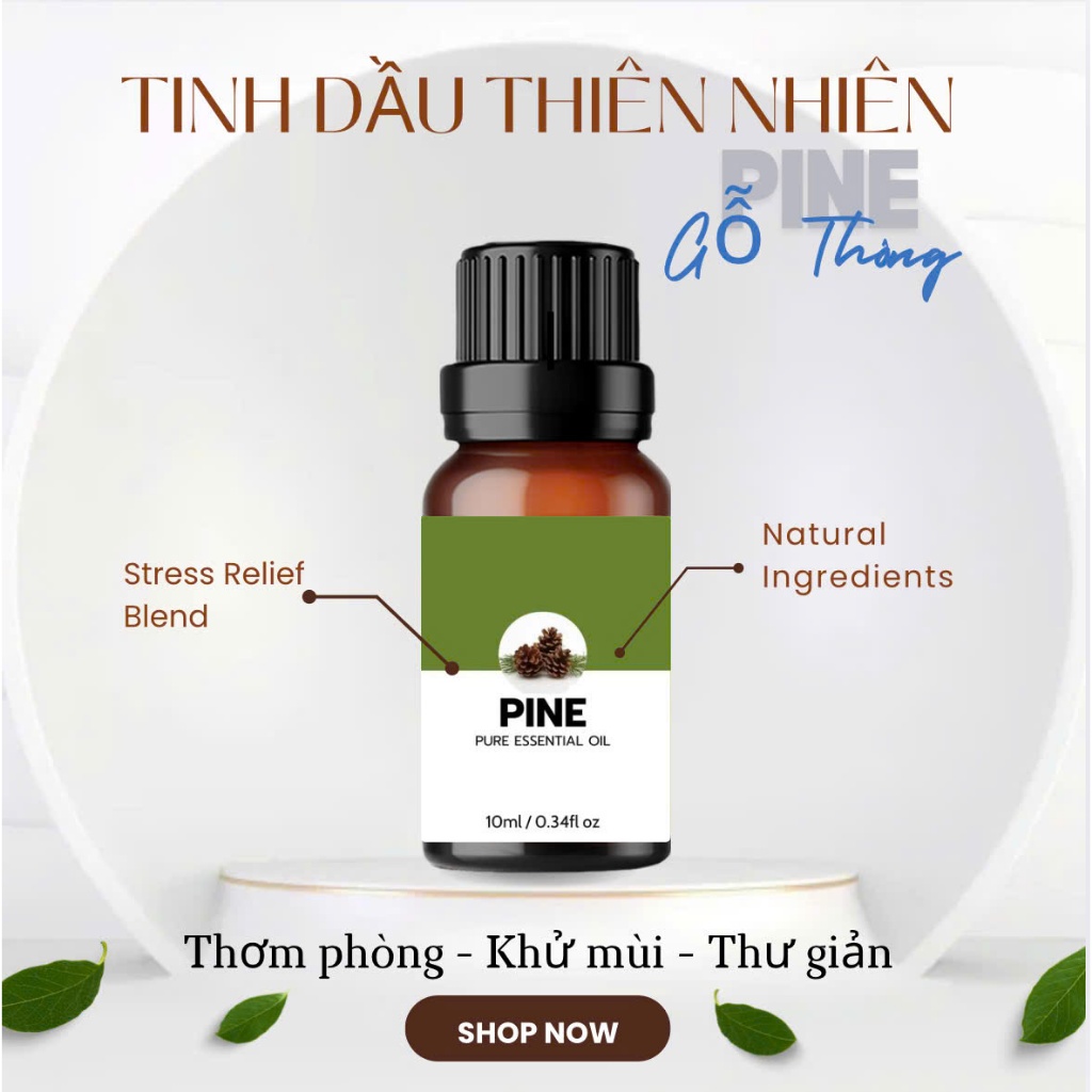 Tinh Dầu Gỗ Thông - Tinh Dầu Thiên Nhiên PINE Essential Oil Khử Mùi Hiệu Quả