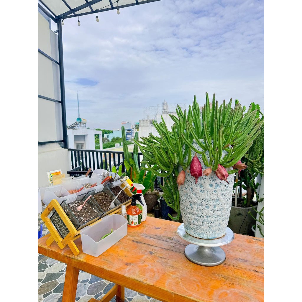 Bình hoa Atlantis gốm sứ Bát Tràng, Lọ hoa đẹp Decor trang trí nhà cửa | Living Decor