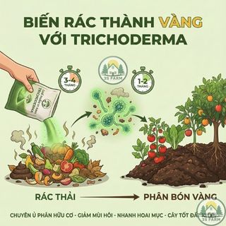 [1KG] Nấm Trichoderma - Chế Phẩm Sinh Học Men Vi Sinh Dùng Ủ Phân - Xử Lý Đất