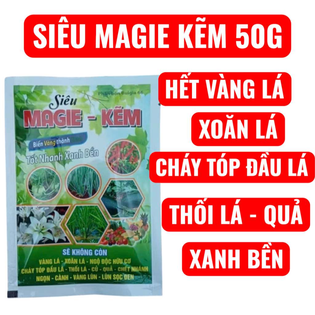 Phân bón Siêu Magie Kẽm Biến vàng thành xanh, tốt nhanh xanh bền