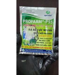Siêu Lân Nhập Khẩu BỈ P55