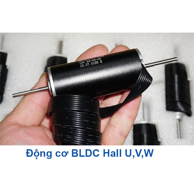 Động cơ BLDC không chổi than từ neo hall 12-24v hollow cup brushless motor