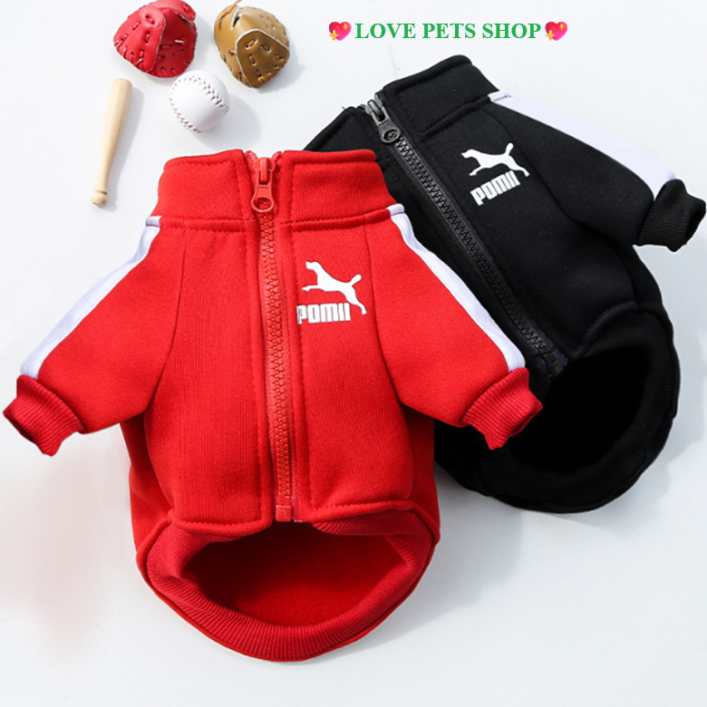 Áo khoác thể thao Pomii Cho Chó Mèo - Love Pets Shop